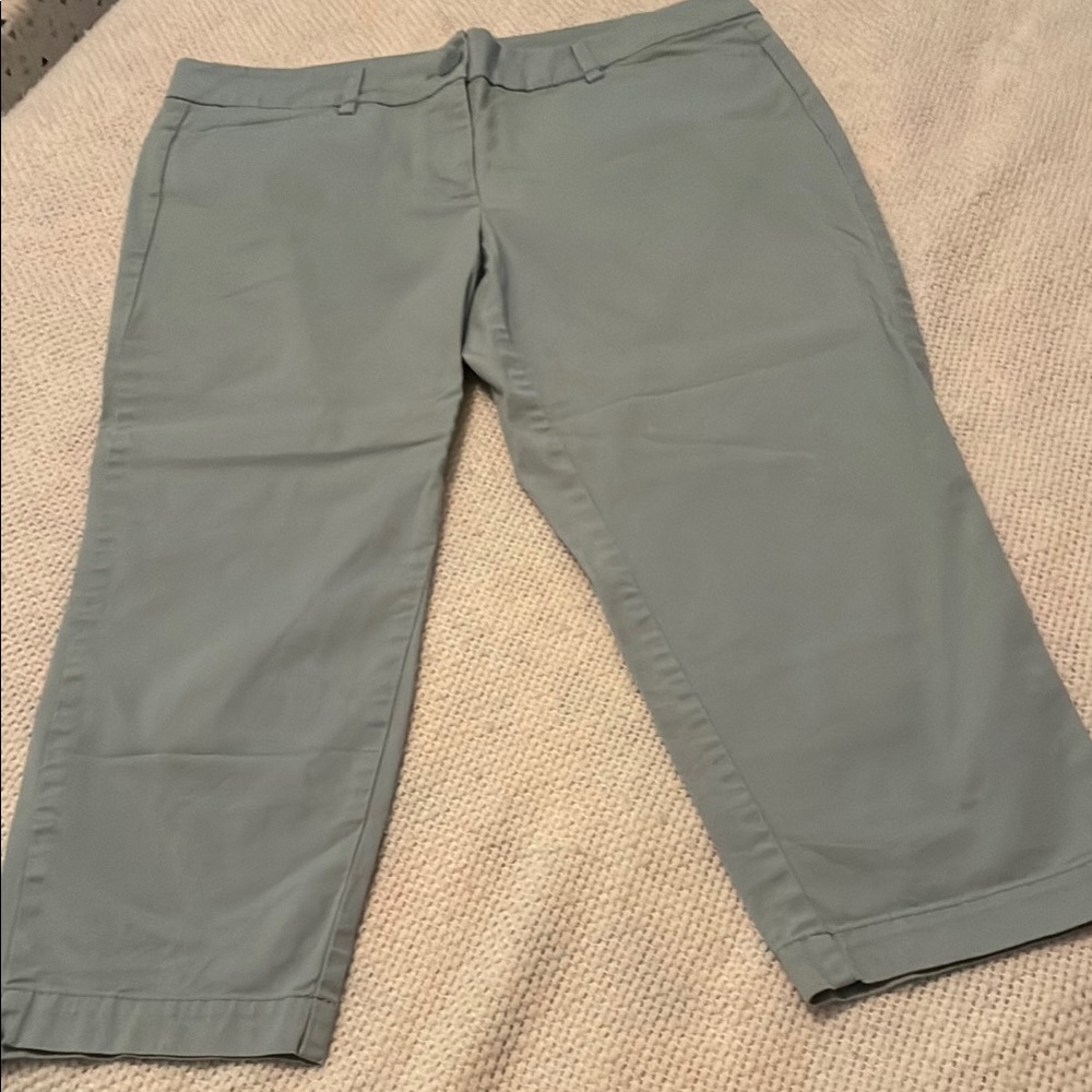 Ann Taylor LOFT Women's Cropped Pants